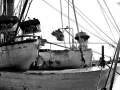 barche attraccate al porto di san benedetto del tronto cariche di pesce fresco appena pescato. storia e tradizione del mar adriatico.